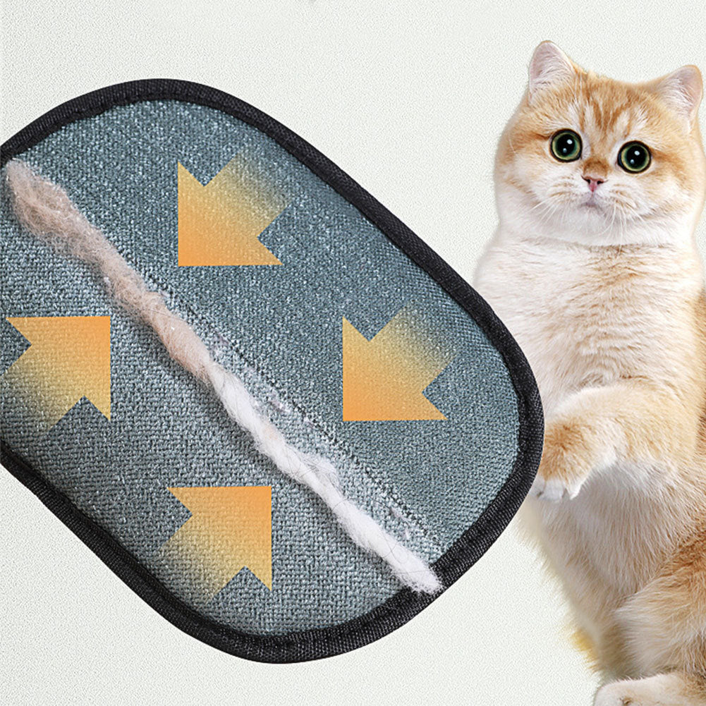 Hangzhou Jingqian pet hair remover mitt with collected pet hair shown next to a light brown cat