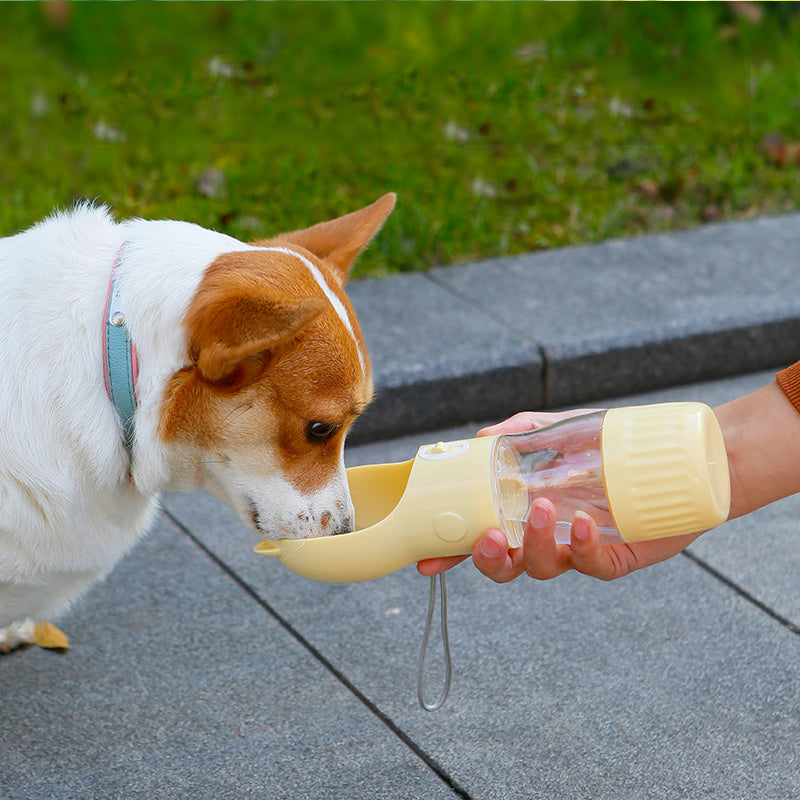 Portable dog water bottle in yellow being used to give water to a small brown and white dog outdoors