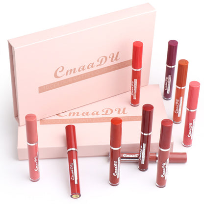 Yiwu Renfan waterproof matte lipstick for women in various shades with pink packaging box