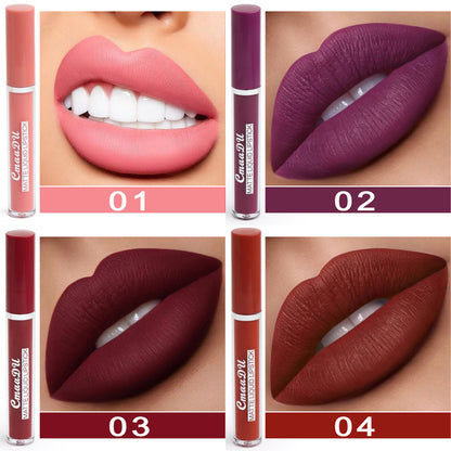 Yiwu Renfan waterproof matte lipstick for women in four shades showing lips with pink purple burgundy and brown colors